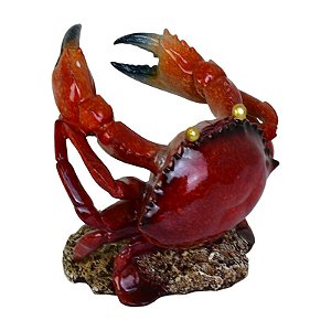 Porta Garrafa De Caranguejo Com Coral