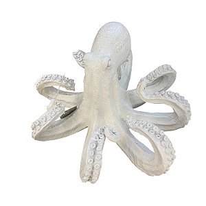 Enfeite De Polvo Branco G