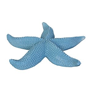 Estrela Do Mar Com Textura Azul