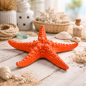 Estrela Do Mar Branco Braço Fino Vermelho