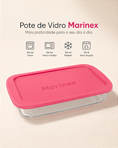 Assadeira Retangular Pequena Com Tampa Marinex - 1,6l