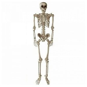 Esqueleto Articulado - Halloween