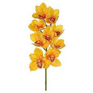 Orquídea Real Amarelo
