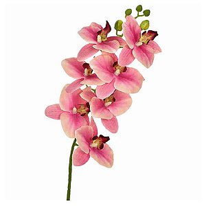 Orquídea 3D Rosa 70X13
