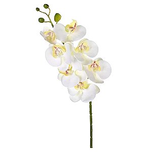Orquídea 3D Branco 74X14
