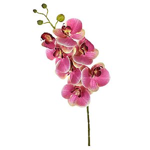 Orquídea 3D Rosa 74X14