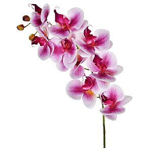 Orquídea 3D em PDV Branco Púrpura