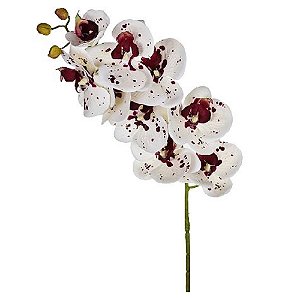 Orquídea 3D em PDV Branco Vinho