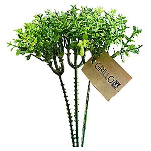 Pick Mini Folhas de Eucalipto Verde
