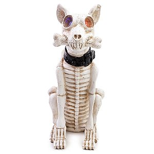 Cachorro Esqueleto Halloween