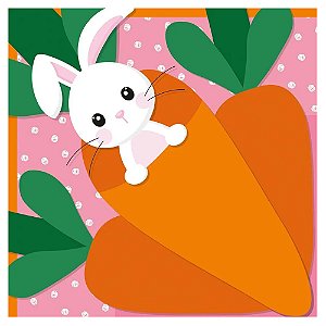 Express 39x39cm Carrot Rosa 25Un - Cromus