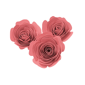 Topo de Bolo Rosas P Rosa 3un - Amora
