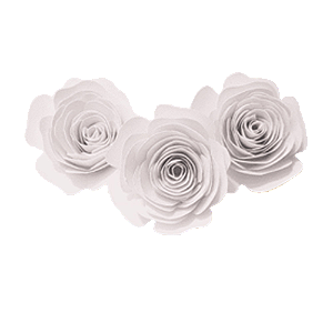 Topo de Bolo Rosas P Branca 3un - Amora