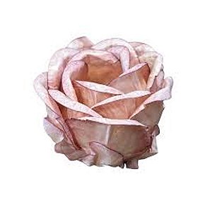 Forma Magnolia Doce de Leite 30un - Decora