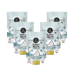 Kit 5 Sal Marinho Br Spices Integral Mossoró Fino Pouch 1kg