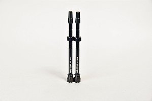 Bico Tubeless 95 mm 1.0 com núcleo removível