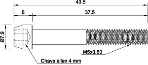 Parafuso Titânio de Fixar Freio Traseiro Flat Mount ROAD SHIMANO APERTO 30mm
