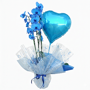 Orquídea Azul e Balão Metalizado