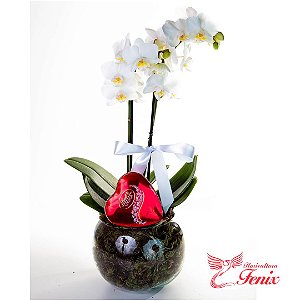 Mini Orquídea Luxo com Lindt Heart