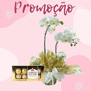 Orquídea Branca  Com Ferrero 100g