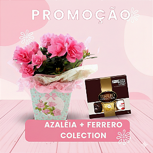 Combo Encanto: Azaleia Rosa & Ferrero Collection