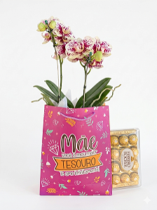 Surpresa de Orquídea Exótica com Ferrero Rocher 150g