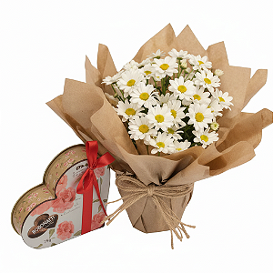 Flores Margarida e Chocolate