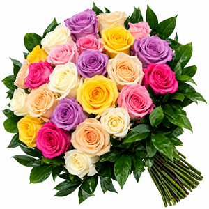 Promoção Especial Buquê de 20 Rosas Minimalistas Coloridas