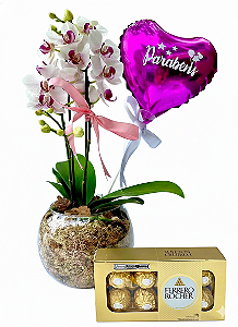 Mini Orquídea Rara Com Chocolate e Balão