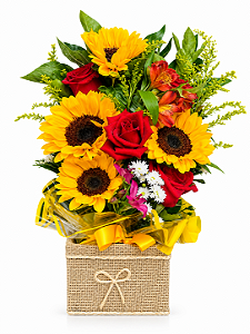 Encanto Solar: Girassol & Rosas no Cachepô