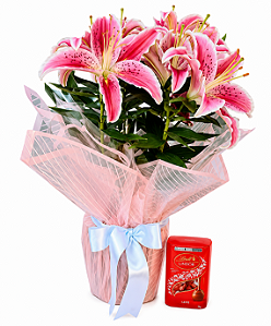 Lírio Rosa Plantado Com Chocolate Lindt 75G