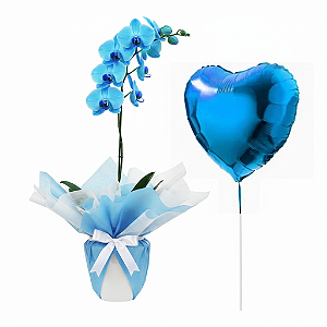Orquídea Azul Encantada & Balão Metalizado