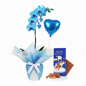 Orquídea Safira & Chocolate Lindt + BRINDE Balão Metalizado