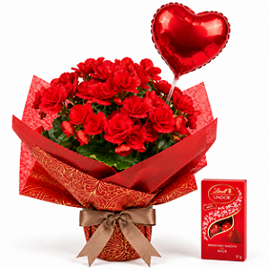 Amor que Floresce