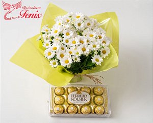 Mini Margaridinhas e Ferrero Rocher - Fênix Floricultura - Flores e  presentes