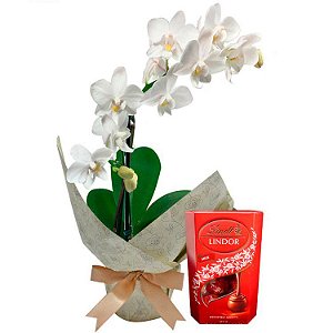 Mini Orquídea Rara e Lindt 37g