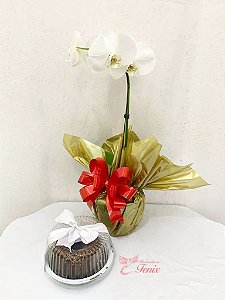 Orquidea Luxo com Bolo de Chocolate
