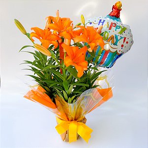 Lírio laranja Plantado com balão Happy-day