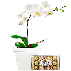 Luxuosa Orquídea Branca em Cachepô, com Ferrero Rocher   