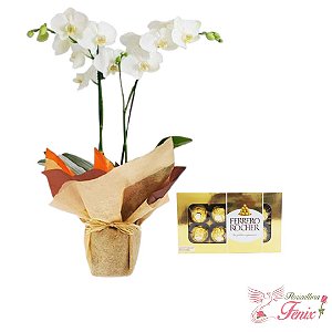 Orquídea Duas Hastes e Ferreo Rocher 100g