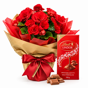 Mini Begônia & Barra Lindt