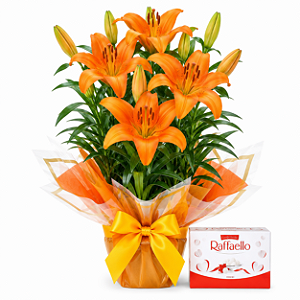 Lírio Laranja Plantado & Rafaello 90g
