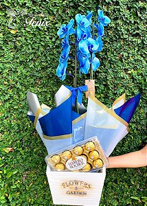 Elegante Orquídea Azul com Ferrero Rocher