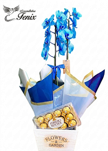 💙 Box Premium: Orquídea Azul Exclusiva & Ferrero Rocher