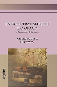 Entre o translúcido e o opaco: ensaios críticos de literatura