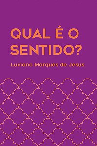 Qual é o sentido?: reflexões sobre o sentido da vida a parti