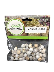 Erva - Lágrima De N. Sra.