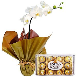ORQUÍDEA PHALAENÓPSIS COM FERRERO ROCHER