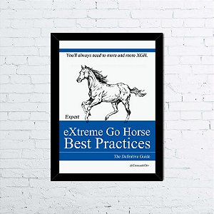 Quadro A4 eXtreme Go Horse Best Practices