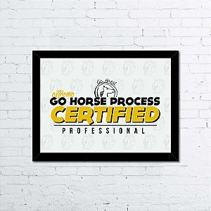 Quadro A4 eXtreme Go Horse Certified Professional
